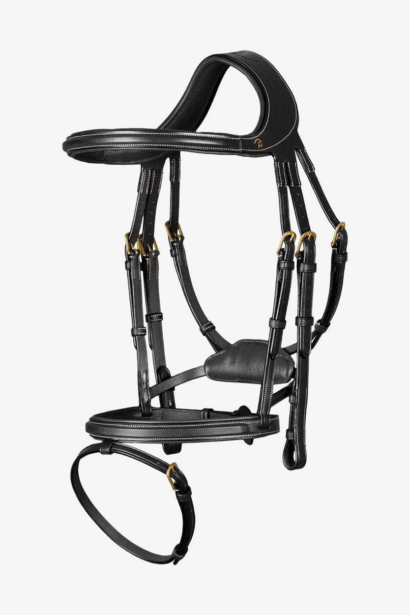 qoramagiz qizlarning yalangoch fotosuratlari Ayol erkakni silkitadi