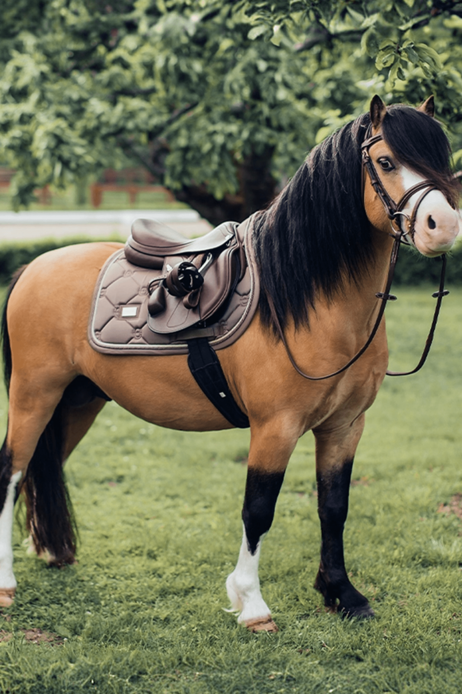 pony klapprad Jumping Saddle Pad Pony – Svensk Ridsport