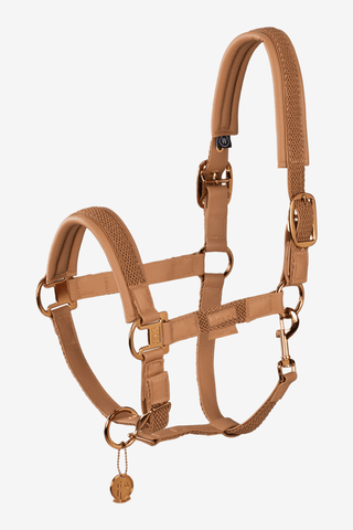 Eskadron Grimma Double Pin