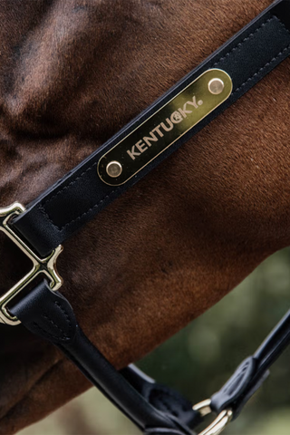 Kentucky Engraving Font - Helvetica