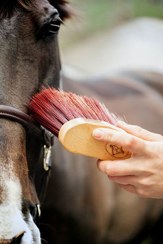 Grooming Deluxe Borste Svängd Lång