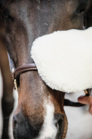 Sheepskin Grooming Glove