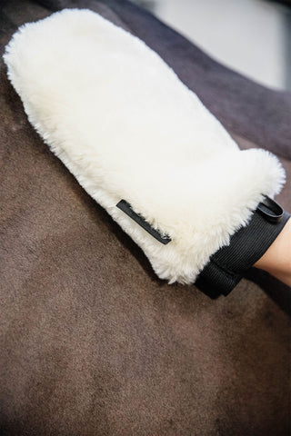 Sheepskin Grooming Glove