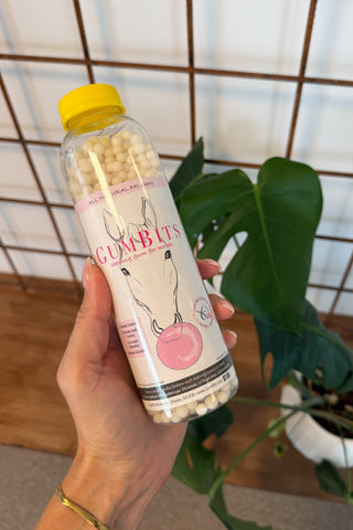GumBits Kaugummi 340g