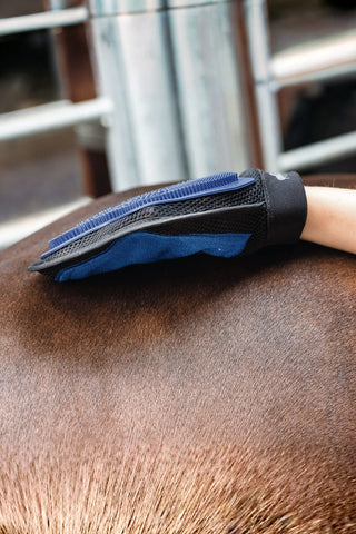 Horse Guard Grooming Handske