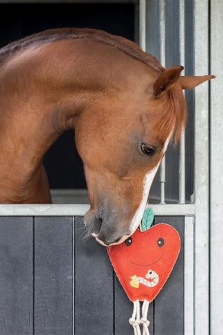 Horse Toy Äpple