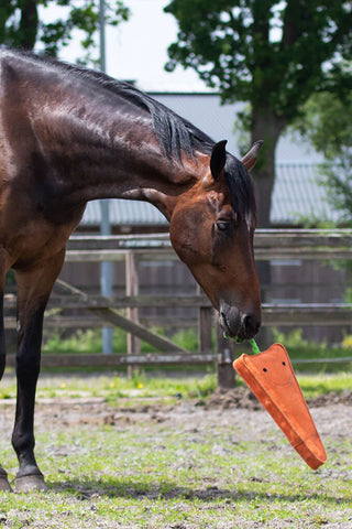 Horse Toy Carrot XL