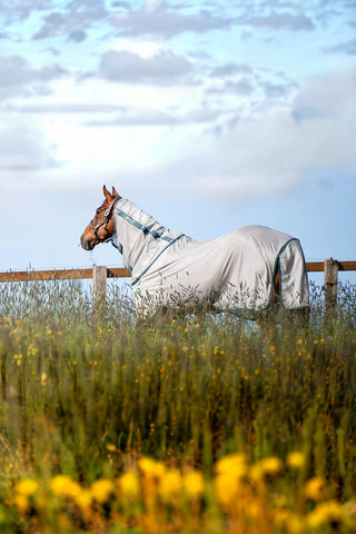 Horseware Amigo AmEco Flugtäcke