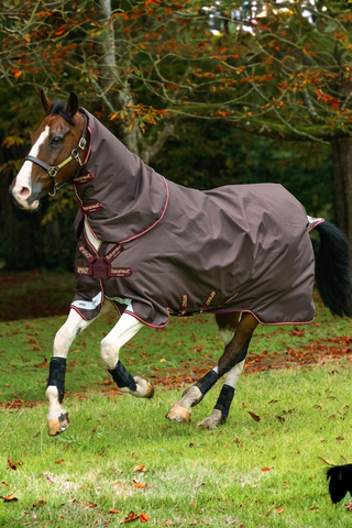 Horseware Amigo Bravo Plus Utetäcke 100g