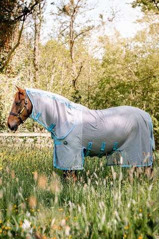 Horseware Amigo Eco Flugtäcke