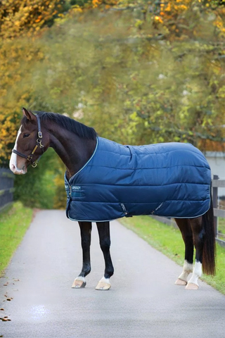 Horseware Amigo Insulator 350g