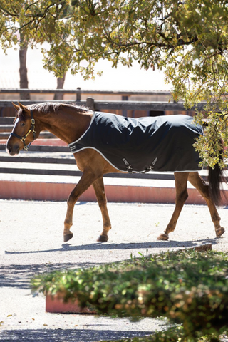 Horseware Amigo Walker Täcke 200g