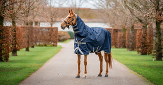 Svensk Ridsport AB logotyp