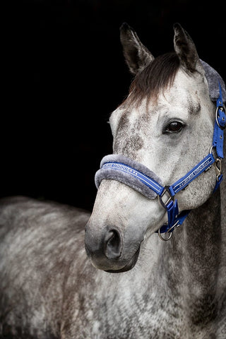 Källquist Equestrian Grimma Med Päls