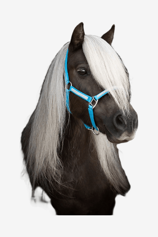 Källquist Equestrian Grimma Shetland