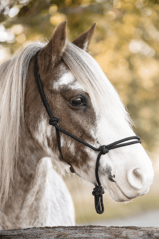 Källquist Equestrian Repgrimma
