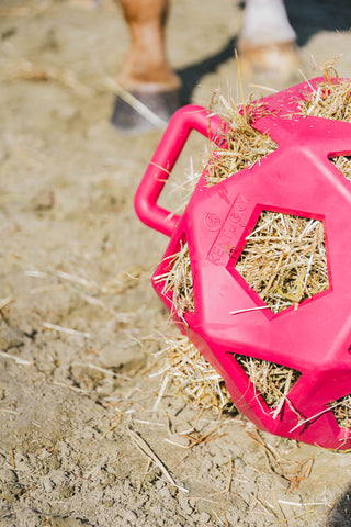 Relax Play&Hay Boll