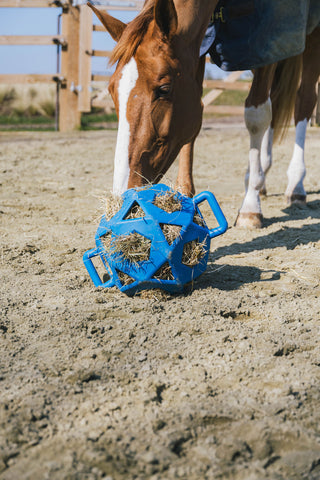 Relax Play&Hay Boll