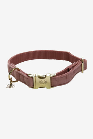 Kentucky Dogwear Hundhalsband Velvet