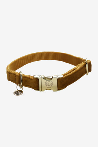 Kentucky Dogwear Hundhalsband Velvet