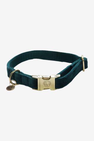 Kentucky Dogwear Hundhalsband Velvet