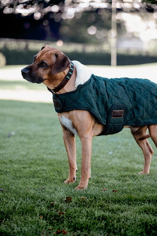 Kentucky Dogwear Hundtäcke 160g