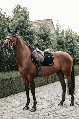 Corduroy Hoppschabrak