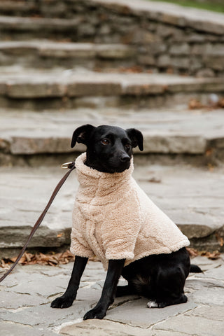 Teddy Fleece Hundtröja