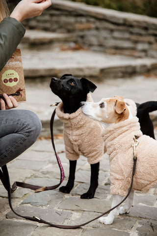 Teddy Fleece Hundtröja
