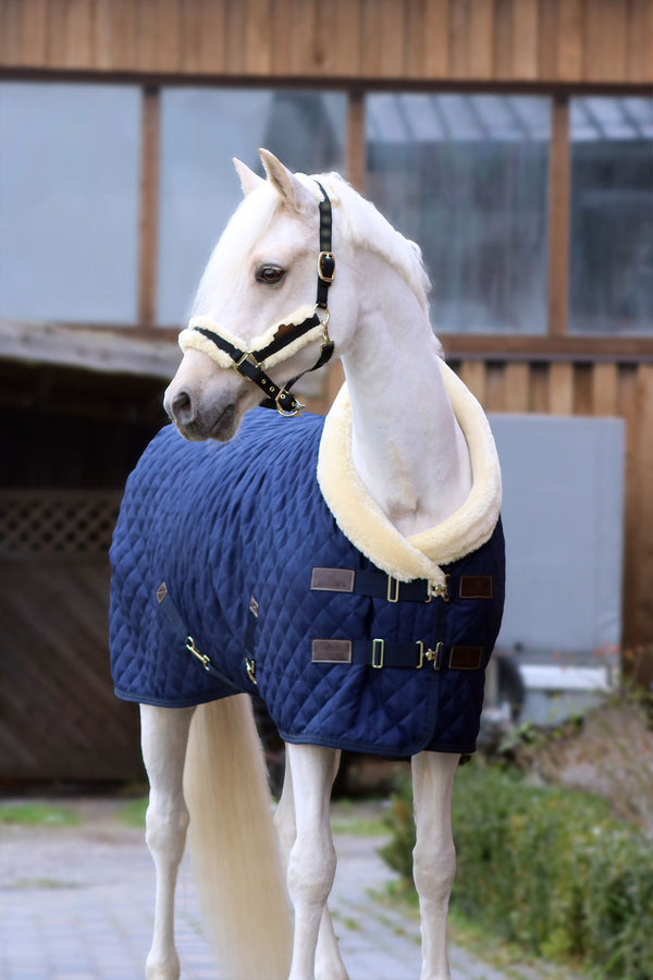 Stalltäcke Show Rug 160g Navy