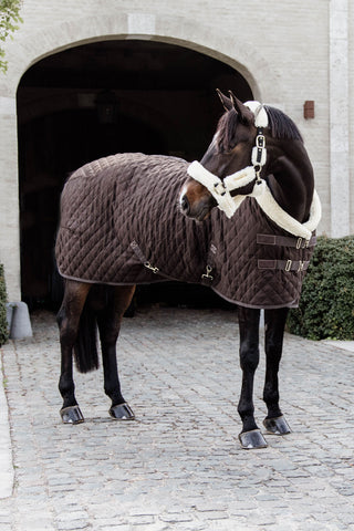 Show Rug 160g