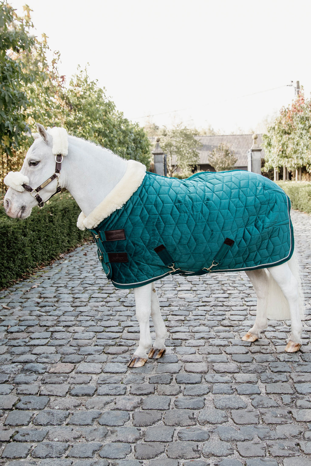 Show Rug Velvet Tiny 160g Emerald – Svensk Ridsport