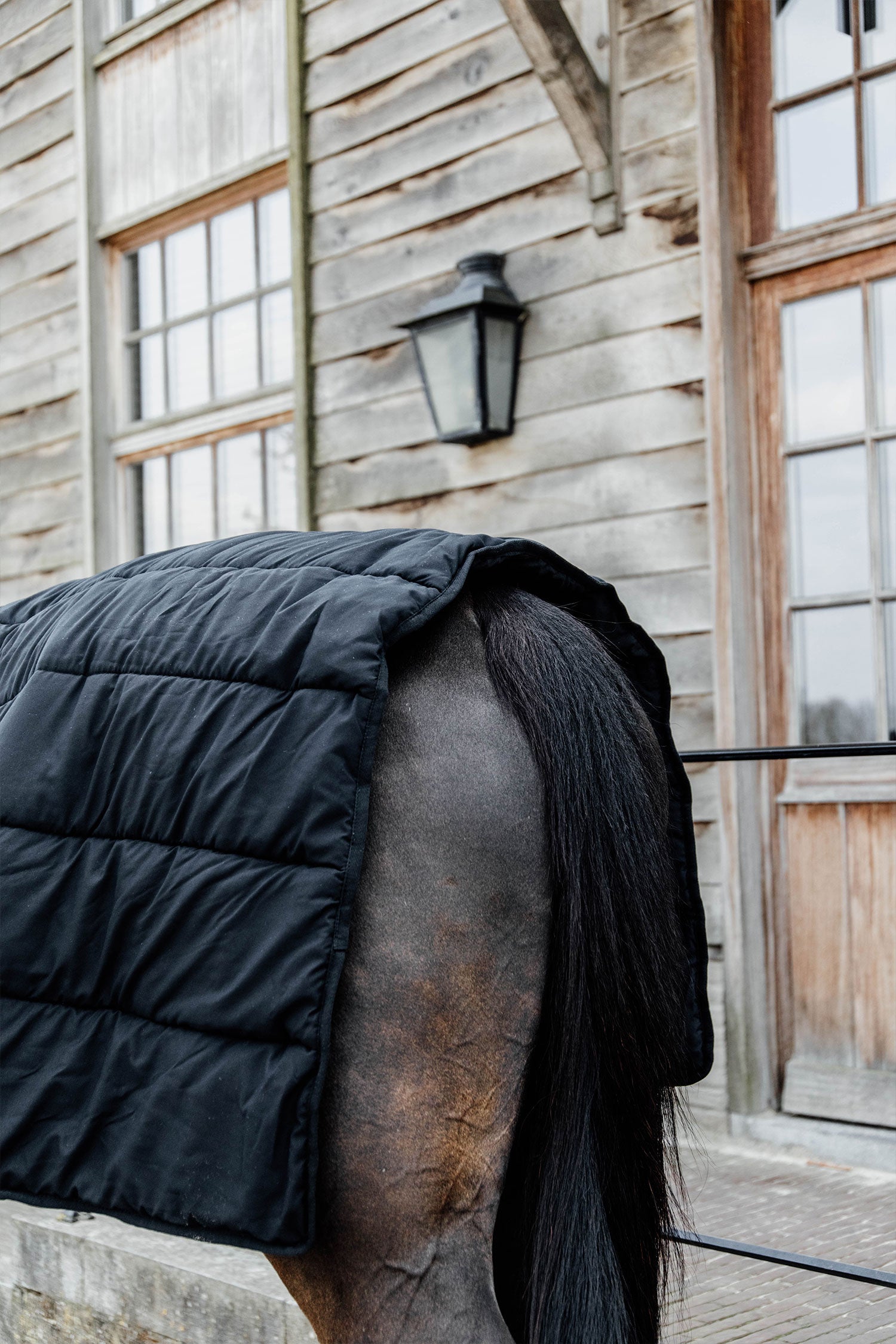 Under Rug sous-couverture 300g chevaux Kentucky - KENTUCKY HORSEWEAR Under Rug sous-couverture 300g chevaux Kentucky - KENTUCKY HORSEWEAR