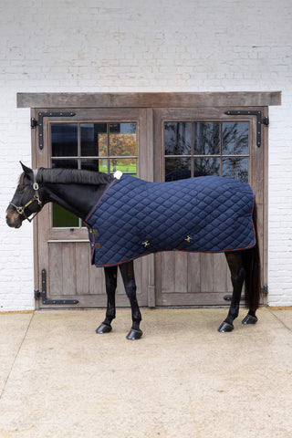 Stalltäcke 160g Wave Navy