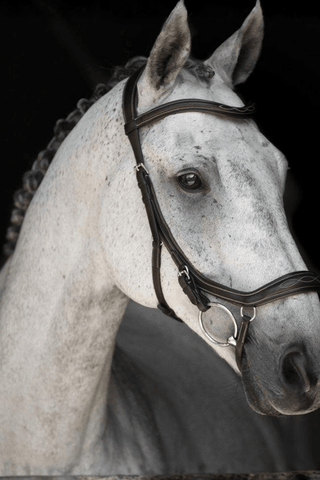 Lippo Anatomiskt Träns Milton Supreme