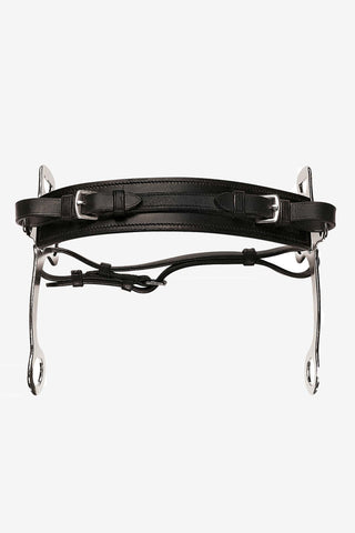 Hackamore