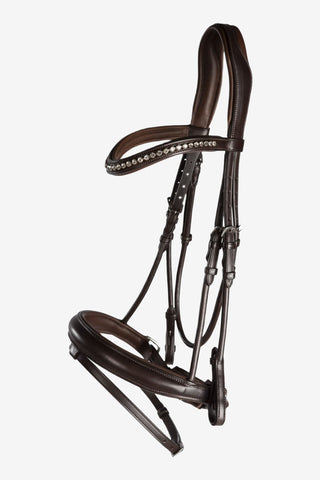 Lippo Träns Courbette