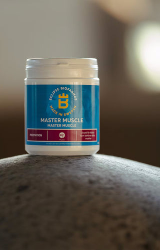 Master Muscle 600g