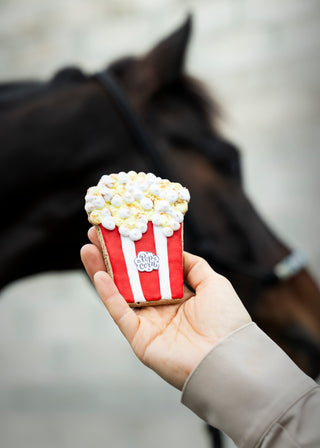 Friandises pour chevaux Foodie Cookie 3-pack