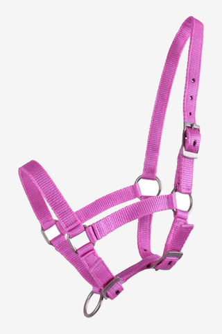 Fölgrimma Rosa