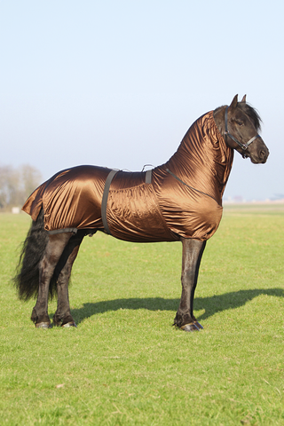 Eksemtäcke Big Neck Brun