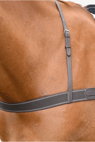 Shires Elastiskförbygel Blenheim