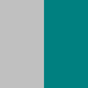 Silver/Teal
