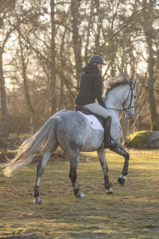 Stierna Equestrian Storm Regnjacka