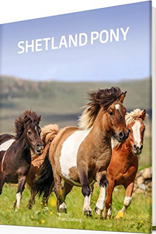 Shetland Ponny Bok