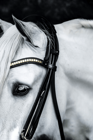 Utzon Equestrian Kandar London