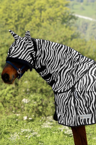 Zebra Flughals